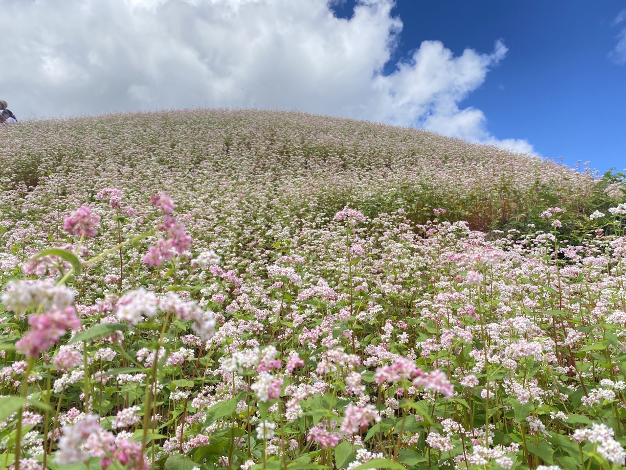 Tour Du Lịch Hà Giang 3 Ngày 2 Đêm