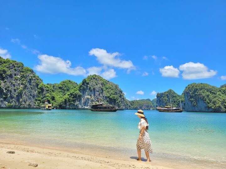 Tour Hà Nội - Cát Bà 1 Ngày