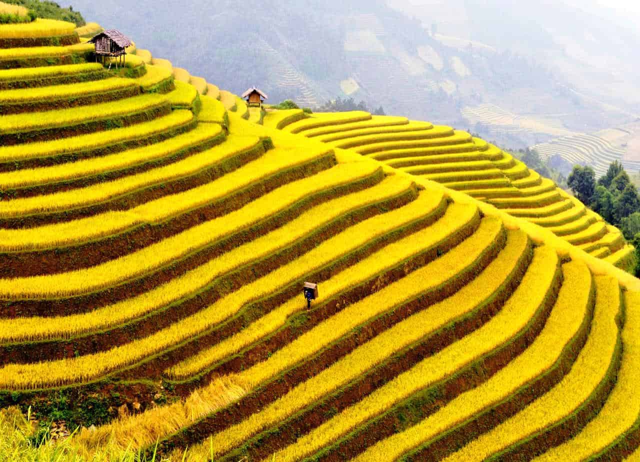 Tour Sapa 3 Ngày 2 Đêm 2026: Fansipan – Bản Cát Cát – Moana Sapa Giá Tốt